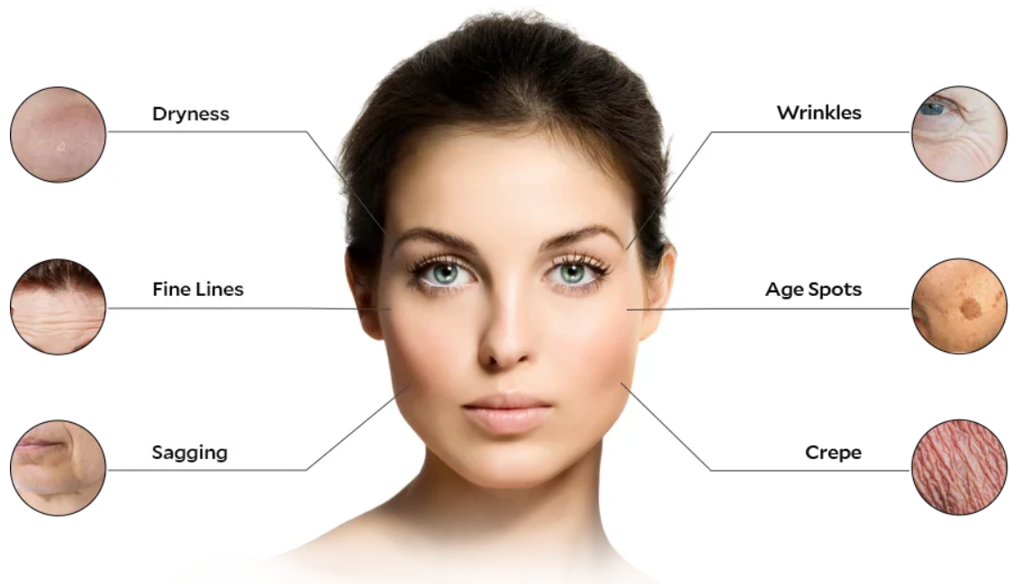 Fiera Cosmetics MoistureWiser Benefits